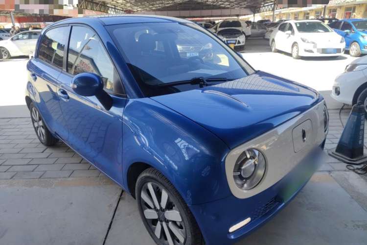 Used ORA Black Cat 2019 351 km Family Edition
