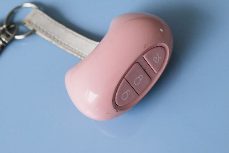 Used ORA Ballet Cat 2023 401 km Luxury Version