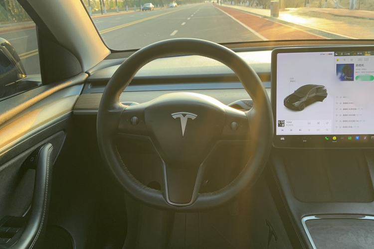 Used Tesla Model Y 2021 Standard Range Rear-Wheel Drive Version