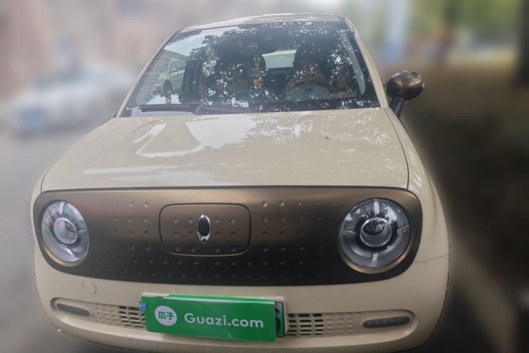 Used ORA Black Cat 2021 351 km Luxury Version
