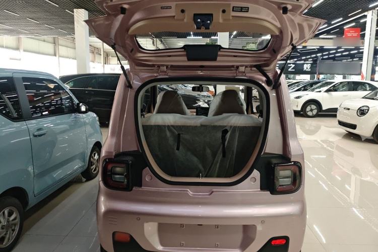 Used  Panda 2024 Panda Mini 200km Endurance Bear
