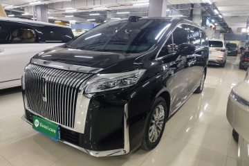 Used Wey Gaoshan 2025 Four-Wheel Drive Alpine 9