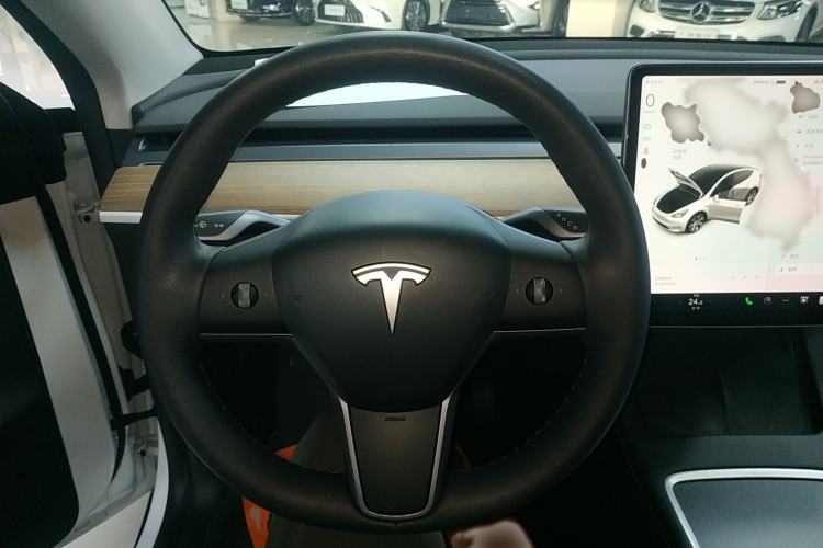 Used Tesla Model Y 2021 Standard Range Rear-Wheel Drive Version
