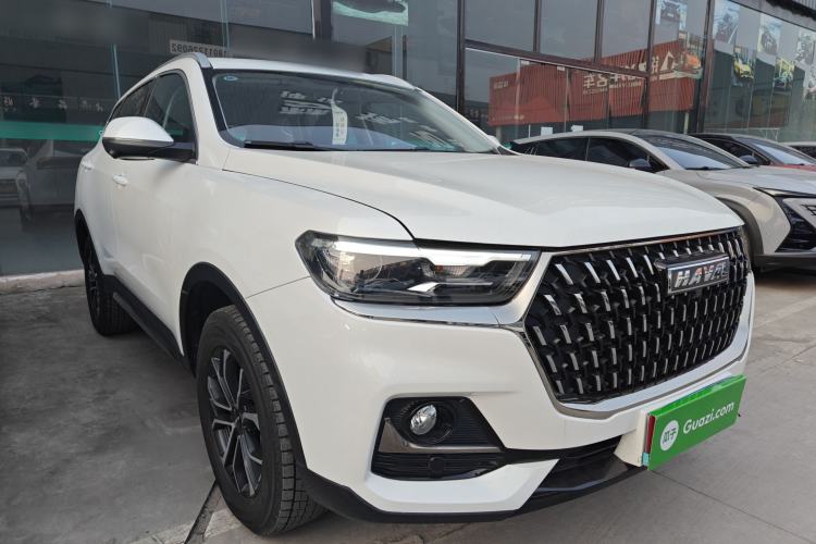 Used Haval H6 2023 National Trend Edition 1.5T Automatic Urban Version
