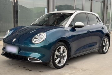 Used ORA Good Cat 2021 400km Standard Range Athena Edition Lithium Iron Phosphate