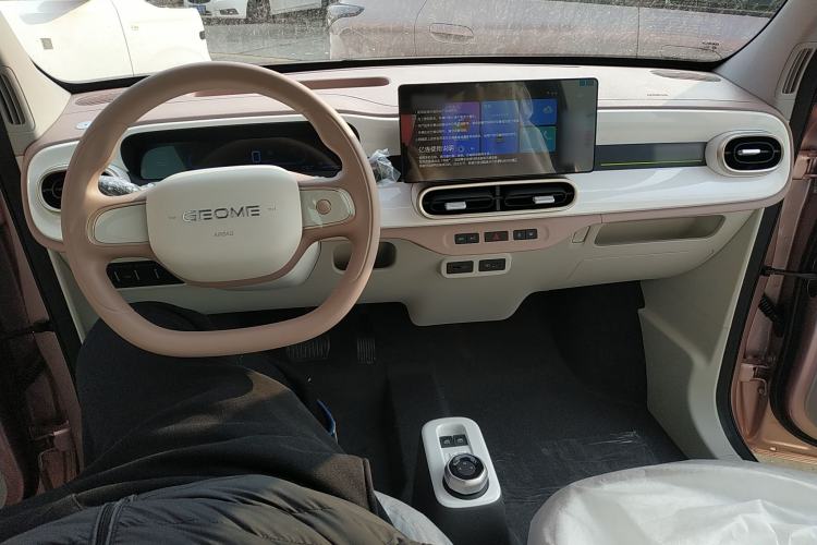 Used  Panda 2025 210 km – Yuanqi Bear
