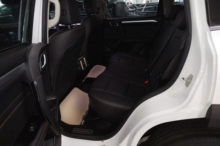 Used Haval DARGO 2021 2.0T DCT 4x4 Chinese Rural Dog Edition
