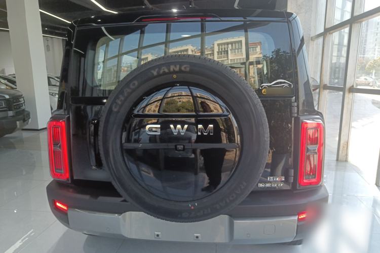 Used Haval Raptor New Energy 