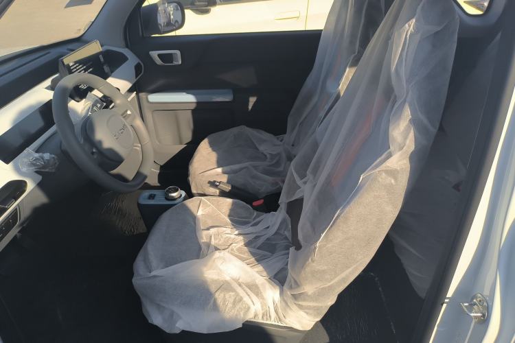 Used  Panda 2024 Panda Mini 200km Endurance Bear