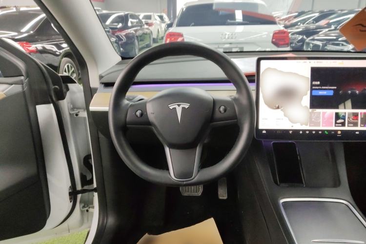 Used Tesla Model Y 2021 Standard Range Rear-Wheel Drive Version
