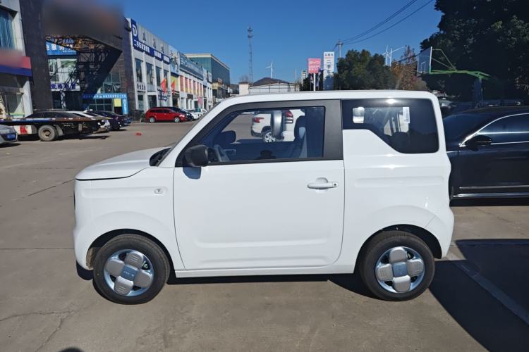 Used  Panda 2024 Panda Mini 200km Endurance Bear
