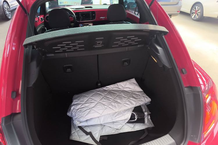 Used Volkswagen Beetle 2018 180TSI Yile Model
