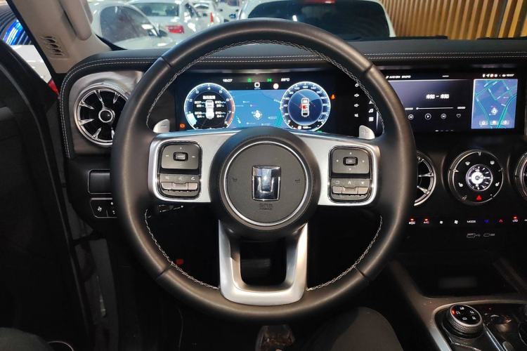 Used Tank 300 2024 2.0T Conqueror
