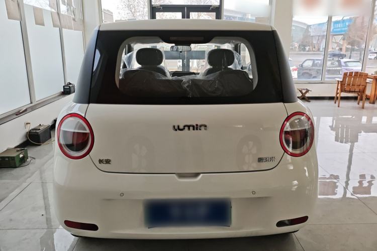 Used  Lumin 2025 205 km Xiangqin Version