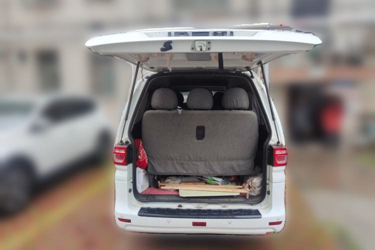 Used FORTHING Lingzhi 2020 M5 1.6L Practical Model