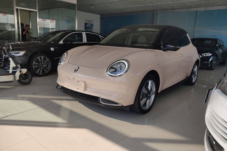 Used ORA Good Cat 2021 400km Standard Range Venus Edition Lithium-Ion Battery
