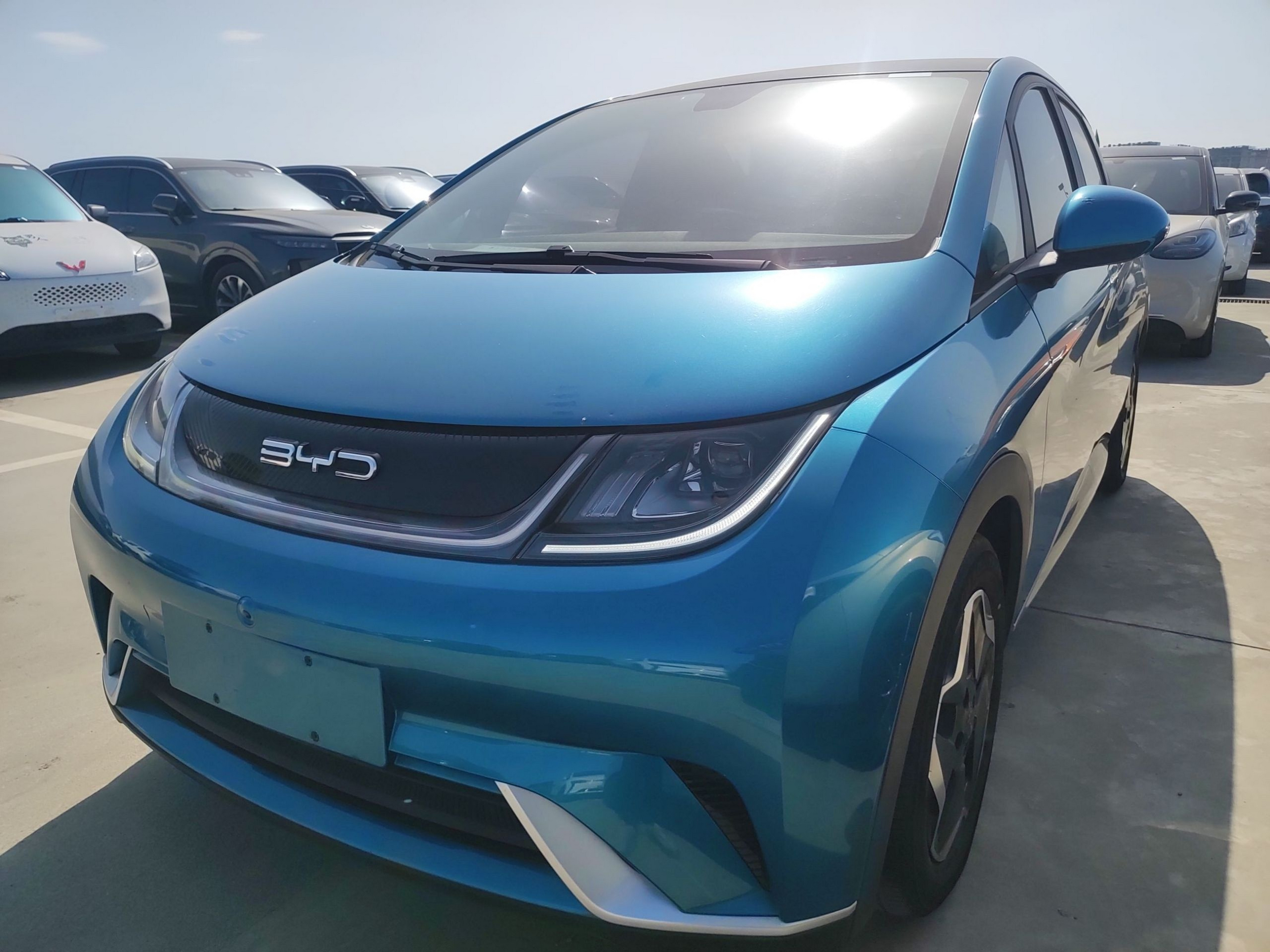 تحت مقدمة السيارة