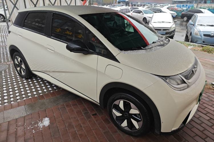 Used BYD Dolphin 2025 420km Free Edition
