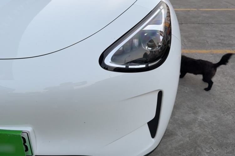 Used  Geome 2025 310km Youth Edition