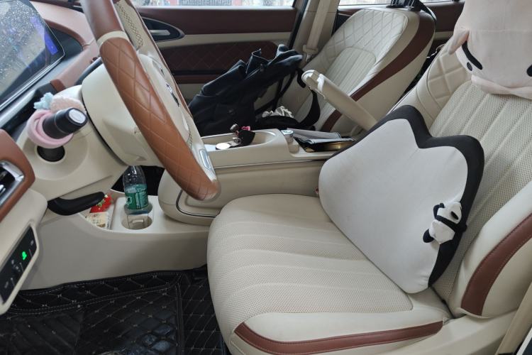 Used ORA Good Cat 2023 401 km Standard Range Prestige Version Lithium Iron Phosphate
