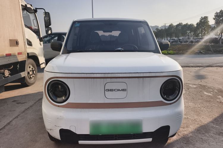 Used  Panda 2024 Panda Mini 200km Endurance Bear
