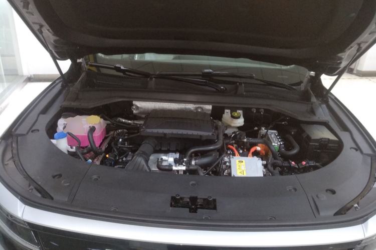 Used  Stellar C-DM 2025 Beyond Edition Pro
