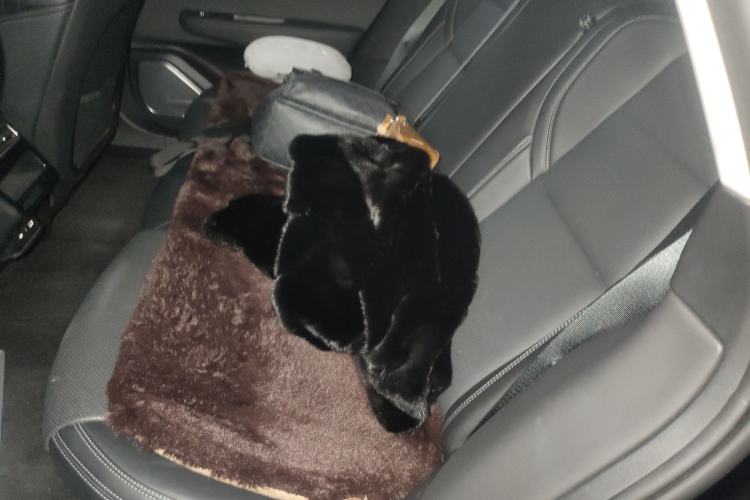 Used Zeekr 001 2022 Ultra-Long Range Single-Motor WE Version
