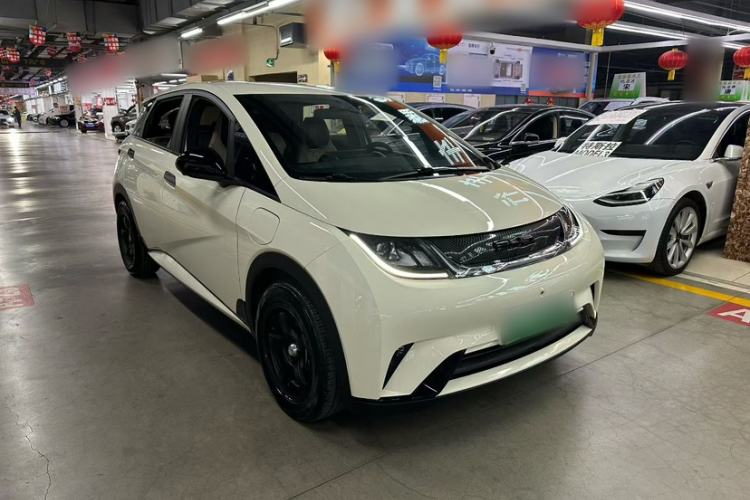 Used BYD Dolphin 2023 420 km Free Version
