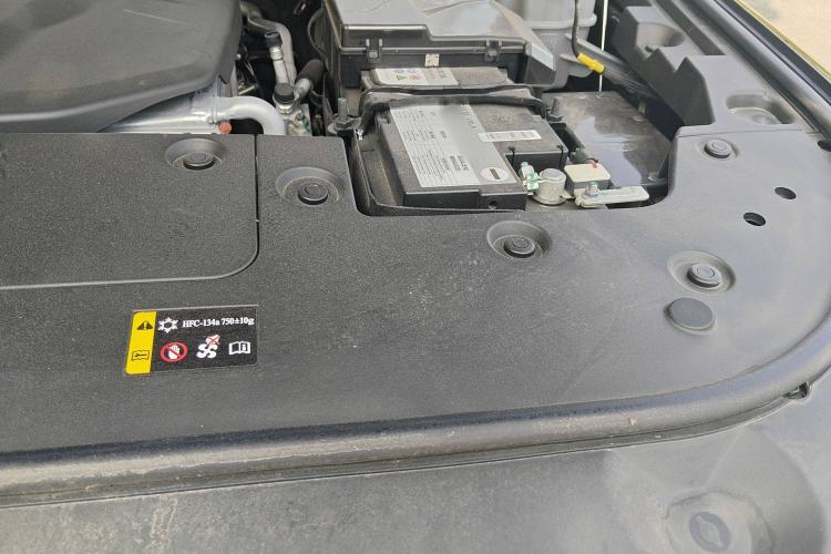 Used Tank 500 New Energy 2024 Hi4-T
