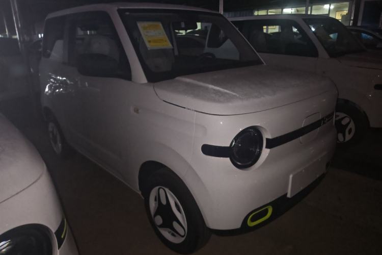 Used  Panda 2025 210 km – Yuanqi Bear
