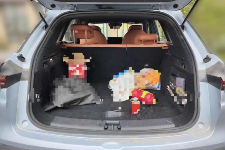 Used NETA L 2024 Extended-Range 310 Flash-Charge Edition
