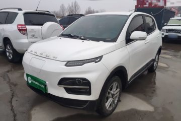 Used Dayun Yuehu 2022 30.66 kWh Two-Wheel Drive Standard Version