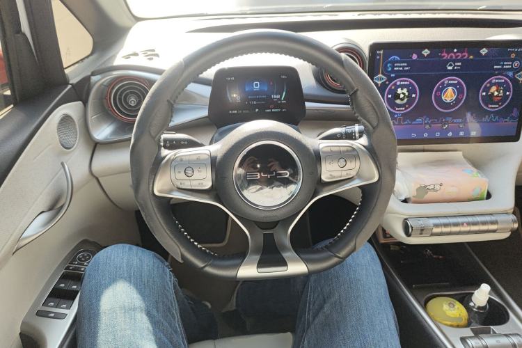 Used BYD Dolphin 2021 405 km Free Version
