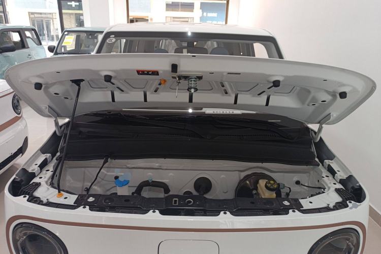 Used  Panda 2024 Panda Mini 200km Endurance Bear
