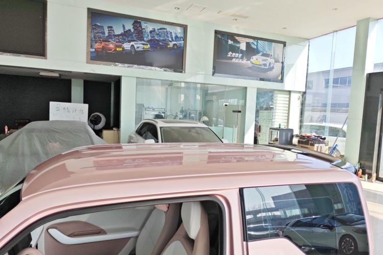 Used  Panda 2025 210 km – Yuanqi Bear