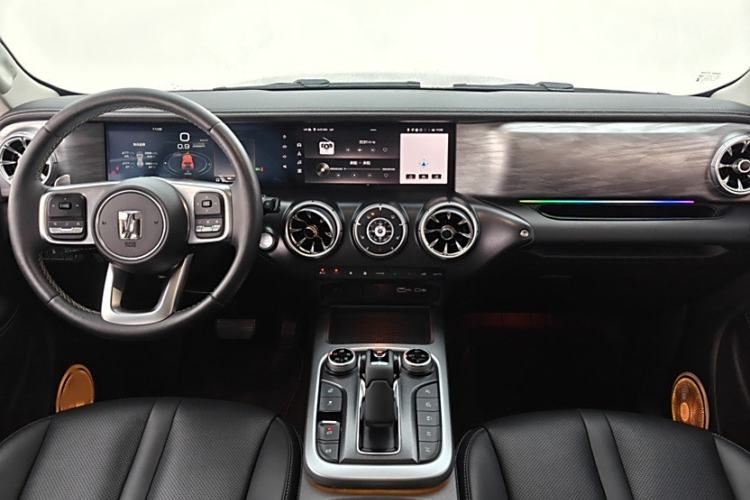 Used Tank 300 2024 2.0T Conqueror
