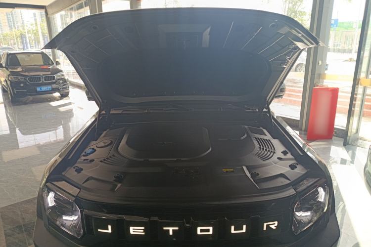 Used  Shanhai T2 2024 C-DM 129KM Linye Edition
