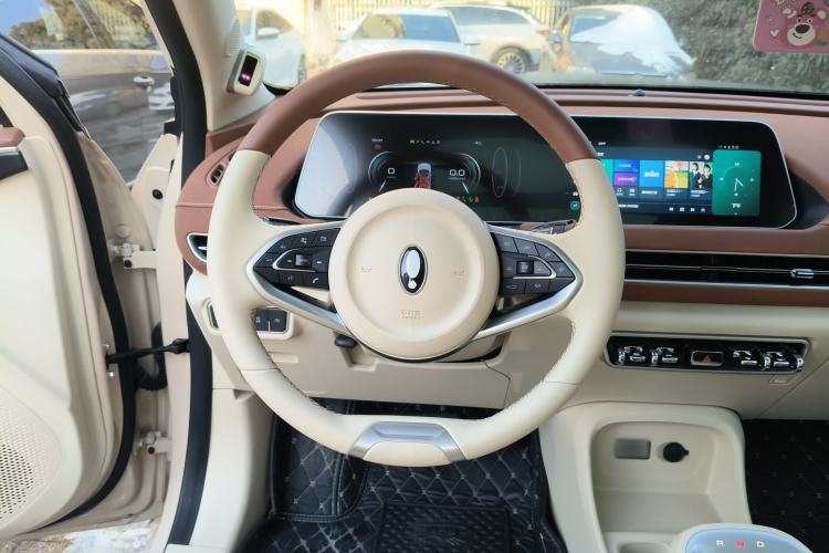 Used ORA Good Cat 2021 400km Standard Range Athena Edition Lithium Iron Phosphate