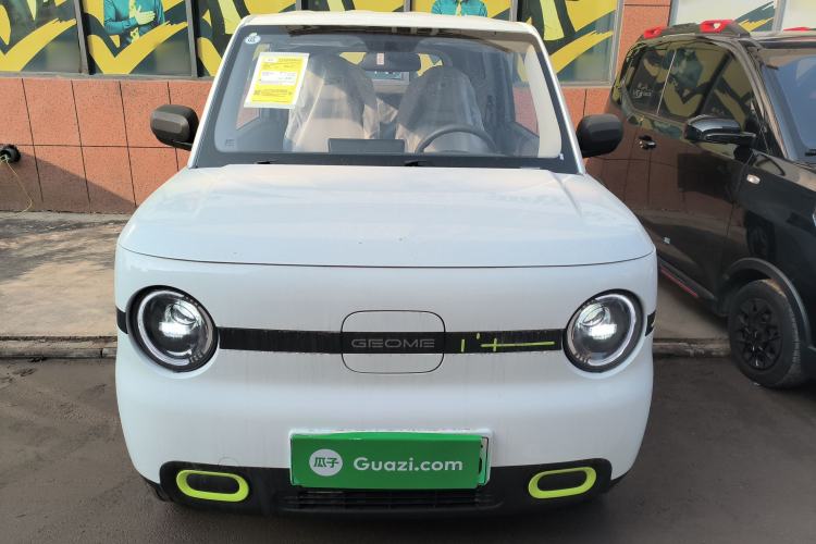 Used  Panda 2025 210 km – Yuanqi Bear
