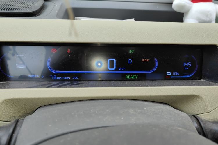 Used  Panda 2024 200km Panda Rider