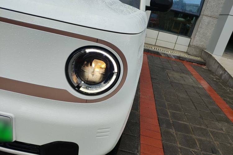 Used  Panda 2023 Panda Mini 200km Endurance Bear
