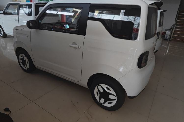 Used  Panda 2025 210 km – Yuanqi Bear