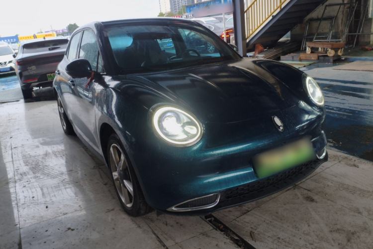 Used ORA Good Cat 2023 401 km Standard Range Luxury Version Ternary Lithium
