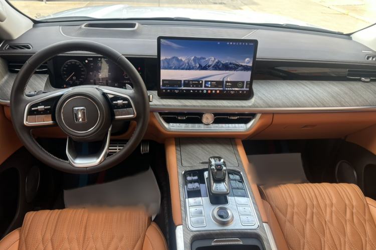 Used Tank 500 New Energy 2023 Hi4-T
