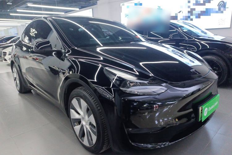 Used Tesla Model Y 2021 Standard Range Rear-Wheel Drive Version
