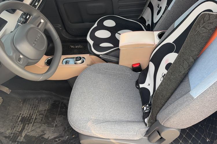 Used  Panda 2023 Panda Mini 200km Endurance Bear
