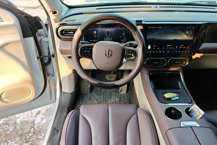 Used Leapmotor C11 2021 Performance Edition
