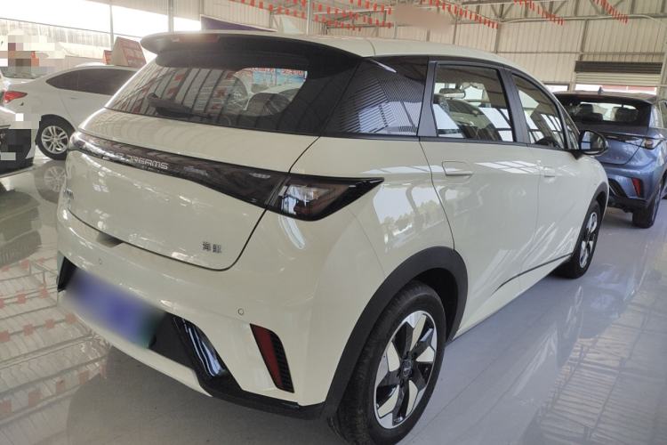 Used BYD Dolphin 2025 420km Free Edition
