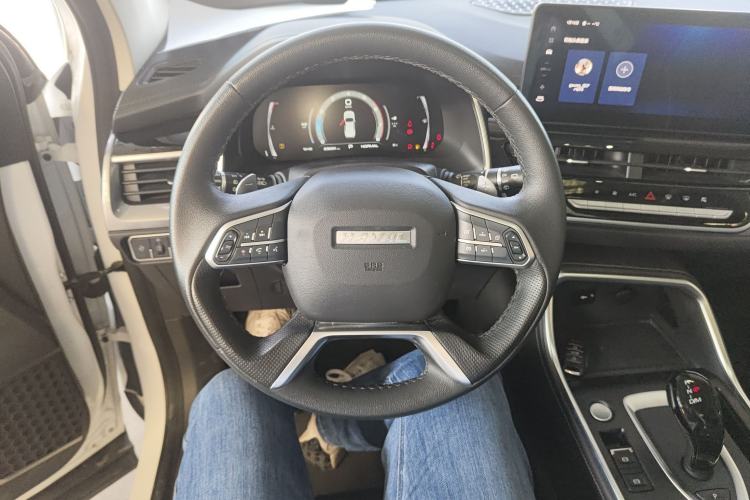 Used Haval H6 2021 National Trend Edition 1.5T Automatic Champion Version
