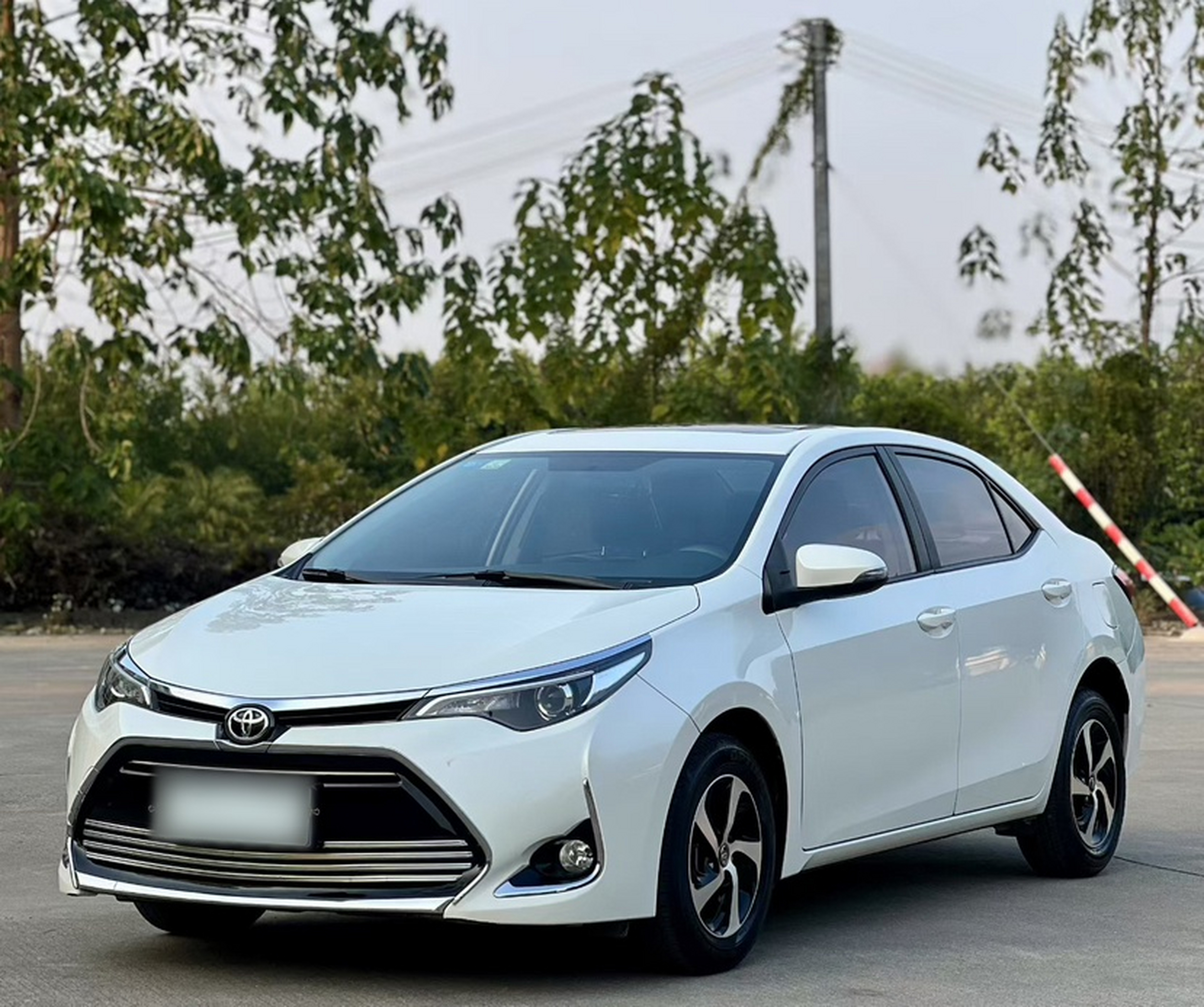 تحت مقدمة السيارة